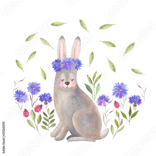 Gray cute hare and cornflowers in a circle
