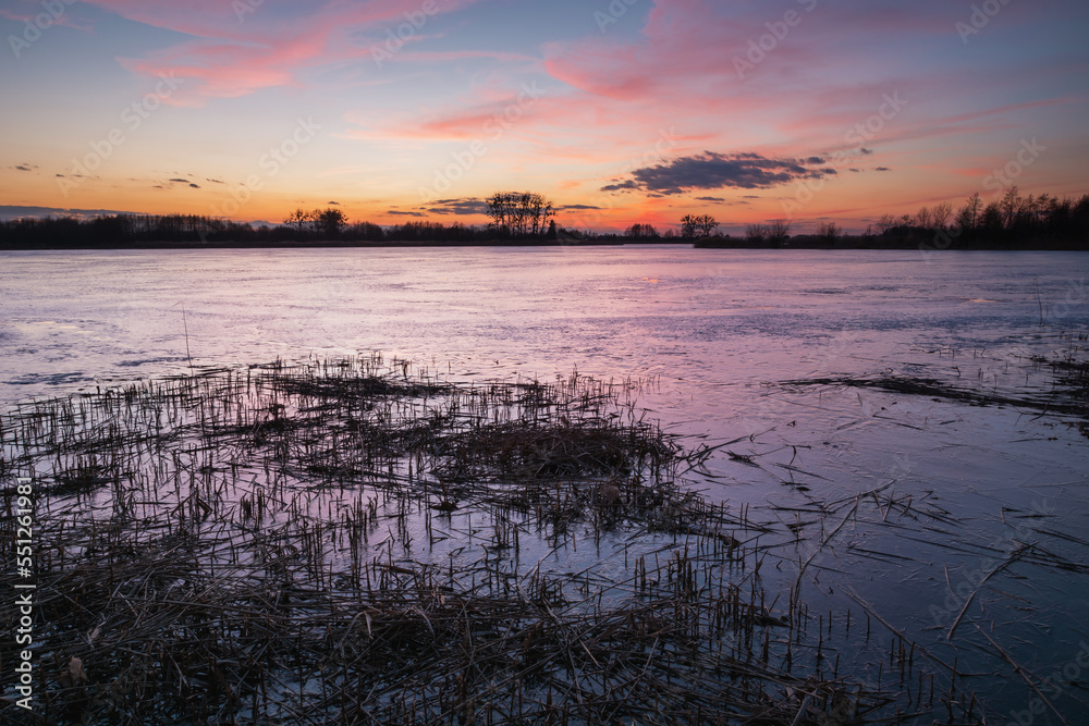 Grass in a frozen lake and a colorful sunset