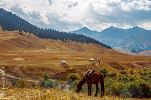 horse against the backdrop of mountains and yurts, steppe autumn Лошадь на фоне гор и юрт, степь, осень.  © Юлия Семенюк