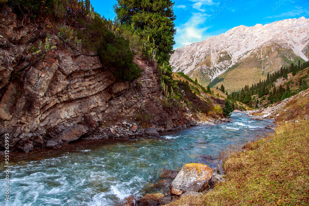 mountain river stretching into the distance, top view, forest, blue water mountain river stretching into the distance, top view, forest, blue water