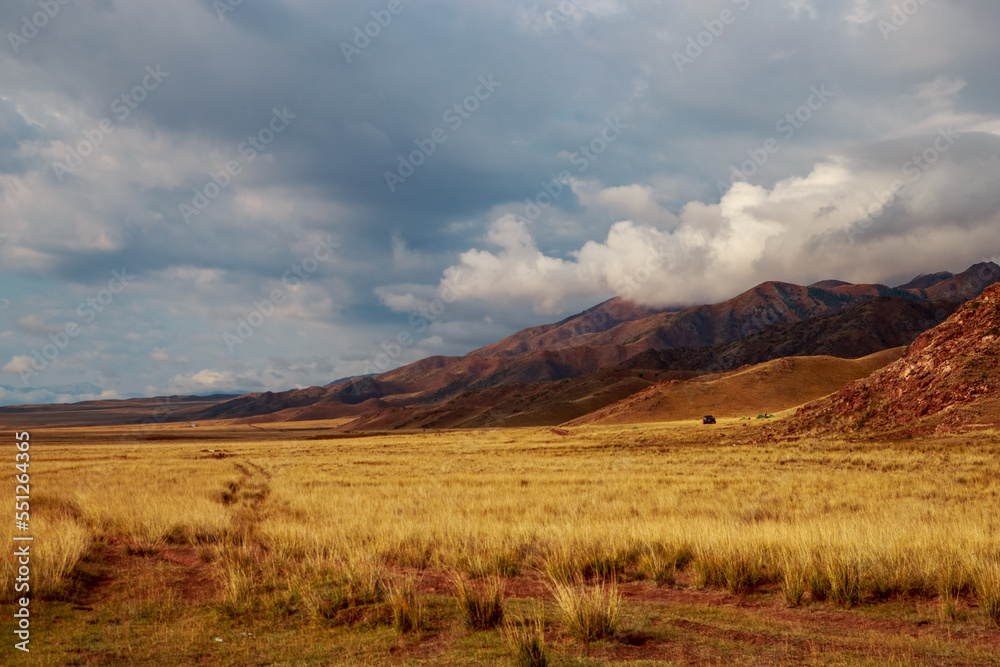 golden wheat color field with mountains and clouds, autumn