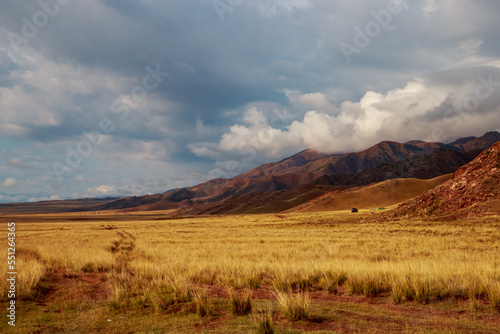 golden wheat color field with mountains and clouds, autumn