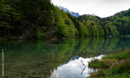 transparent emerald-green waters of lake Alatsee in Fuessen with the snowy Bavarian Alps reflected in the green water and the lush green spring forest in the background, Bavaria, Germany