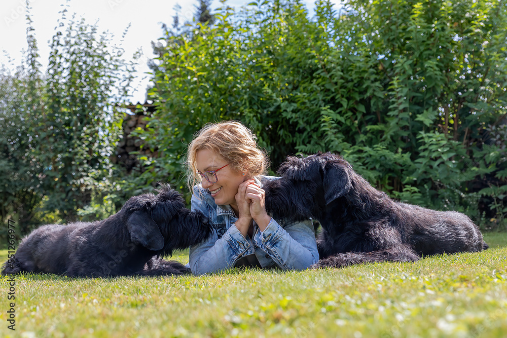 Woman is posing with her two Big Schnauzer dogs outdoors. Woman is posing with her two Big Schnauzer dogs outdoors.