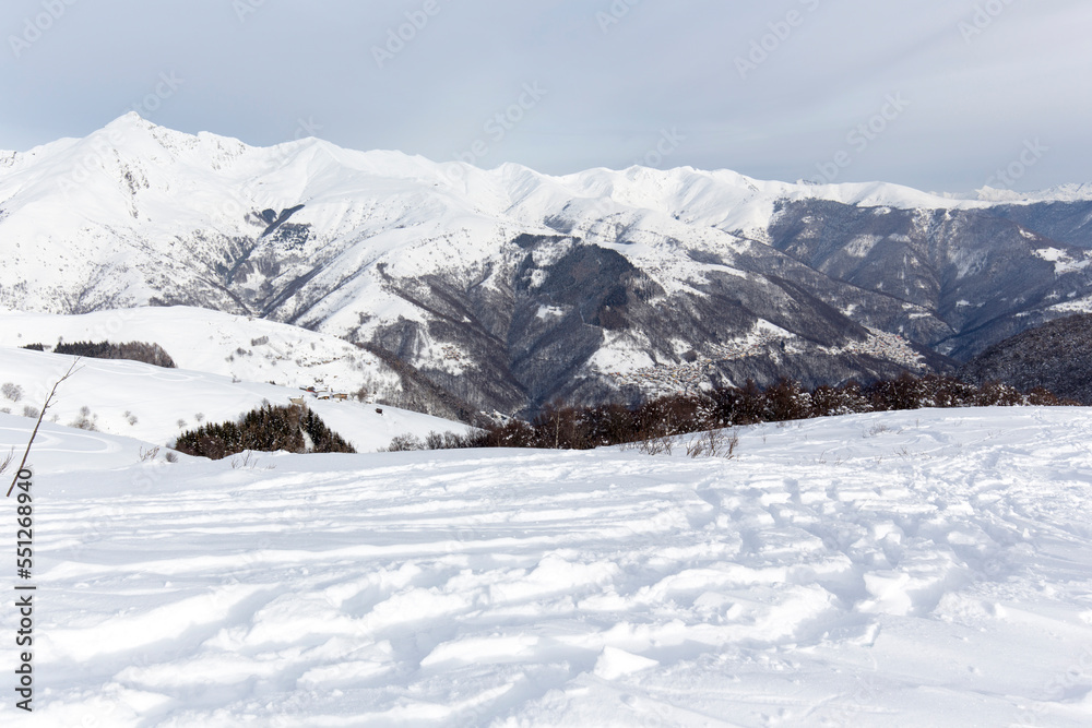 View of a snowshoes trail