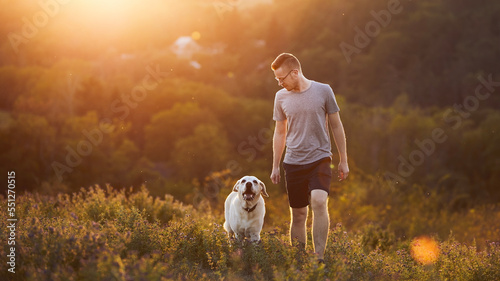 Man with dog on meadow at sunset. Pet owner is walking together with happy labrador retriever. . © Chalabala