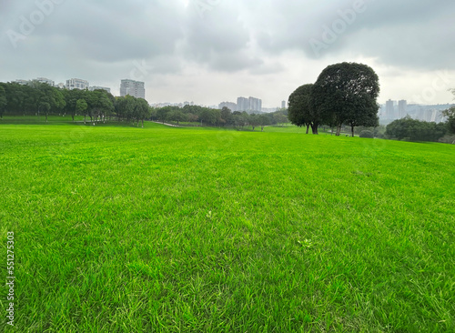 Large green grass in the city park