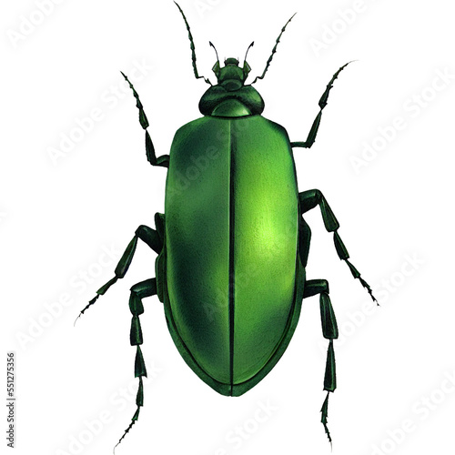 Green Geometric Beetle Insect Arthropod Variation 6 Digital Art By Winters860 Isolated, Transparent Background 