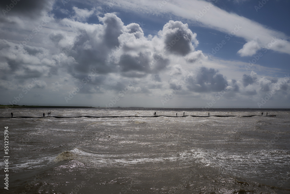 Fototapeta premium Wadden sea