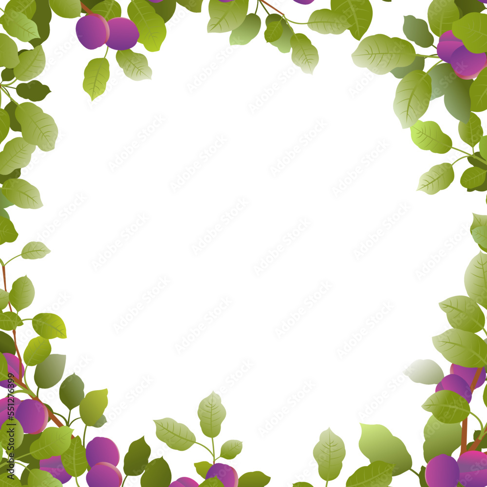 Tree branches plum with ripe fruit frame around edge of picture. Garden plant with edible harvest. Isolated on white background. Branch with foliage and leaves. Vector Tree branches plum with ripe fruit frame around edge of picture. Garden plant with edible harvest. Isolated on white background. Branch with foliage and leaves. Vector
