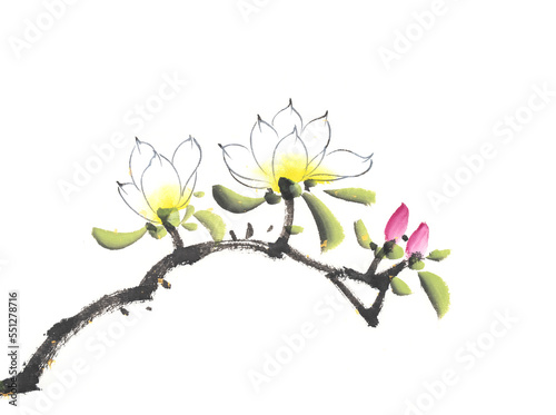 Chinese painting of blossoming magnolia tree
