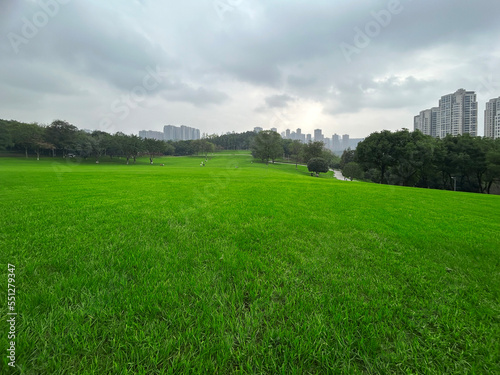 Large green grass in the city park