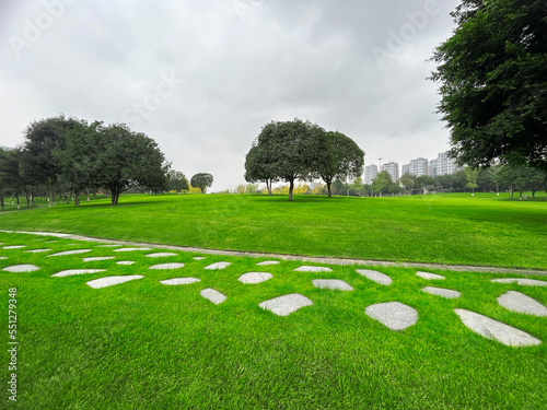 Large green grass in the city park