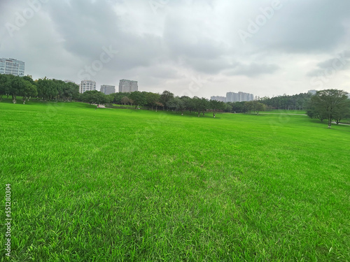 Large green grass in the city park