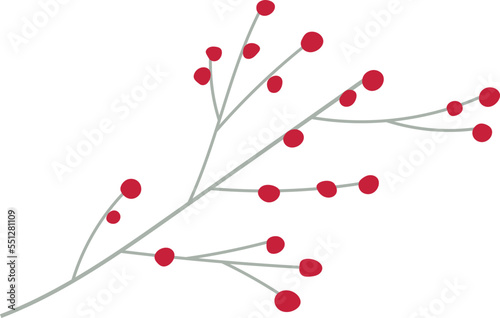Vector of the christmas flowers