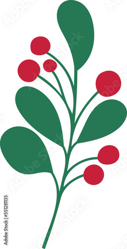 Vector of the christmas flowers