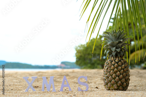 Ripe pineapple with the inscription on the beach. Tropical landscape with christmas concept. Copy space