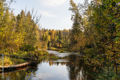 Nature view with river, bright autumn leaves and blue sky