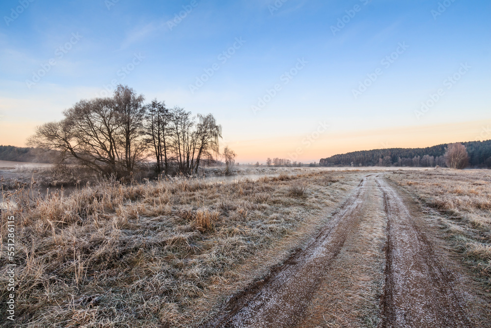 Road among grass and trees in hoarfrost in autumn Road among grass and trees in hoarfrost in autumn