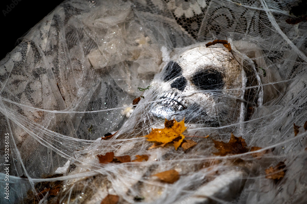 Skeleton decoration Halloween wrapped in spider web and tissue lying in a coffin