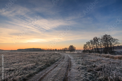Road among grass and trees in hoarfrost in autumn
