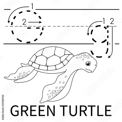 Cute Sea Animal Alphabet Series. G is for green turtle. Vector cartoon character design illustration.