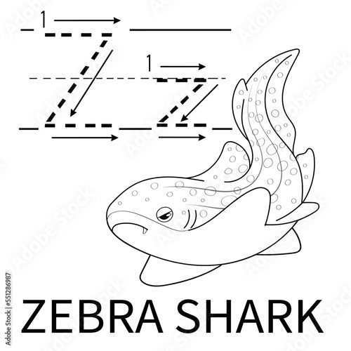 Cute Sea Animal Alphabet Series. Z is for Zebrashark. Vector cartoon character design illustration.