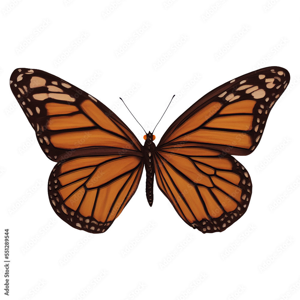 Fototapeta premium Orange Butterfly Insect Variation 3 Digital Art By Winters860 Isolated, Transparent Background 