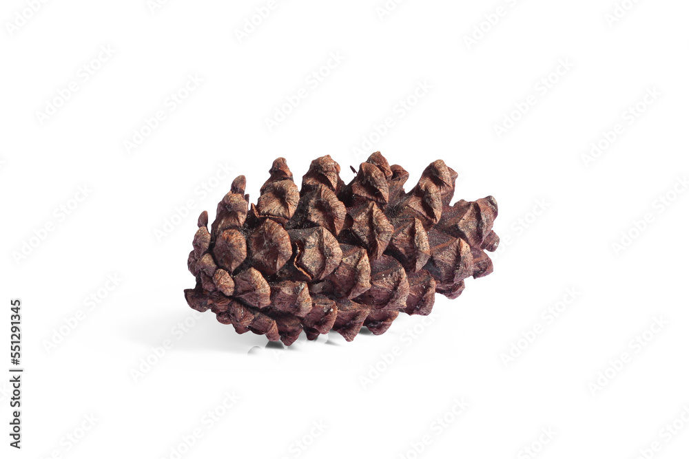 pine cones isolated on white background, christmas object equipment concept pine cones isolated on white background, christmas object equipment concept