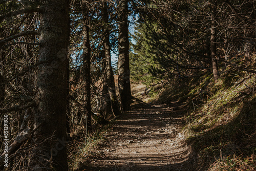 Hiking trail in the mountains in Tatry National Park, Poland.