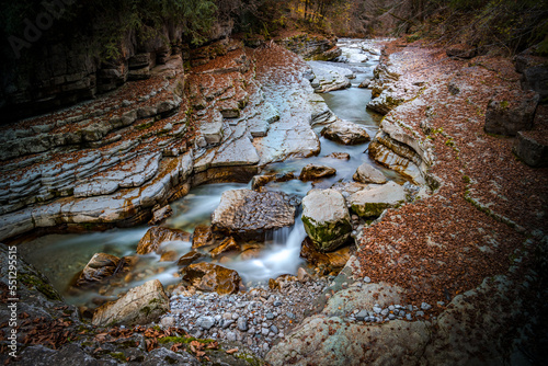 Taugl - Herbstlich photo