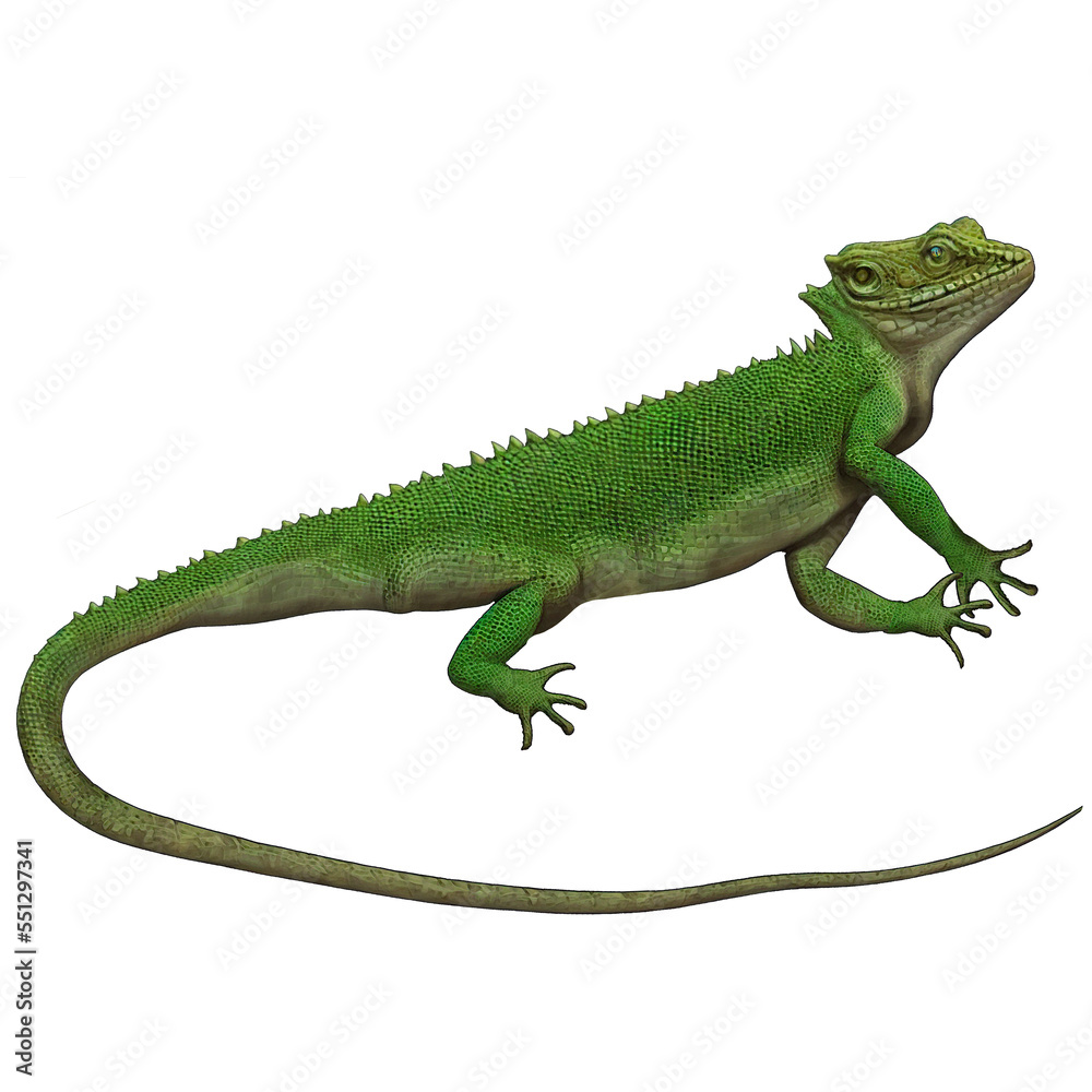 Green Lizard 4 Reptiles Digital Art By Winters860 Isolated, Transparent Background Green Lizard 4 Reptiles Digital Art By Winters860 Isolated, Transparent Background