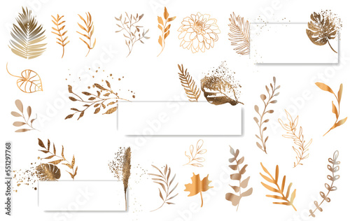 Big hand drawn colorful gold plant set - universally usable. Flower branch and minimalistic modern plants. Botanical, chic and trendy plants. Hand drawn lines, elegant leaves for your own design.