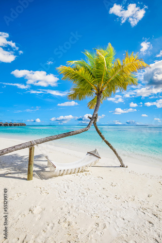 Tropical relax beach as summer island landscape with beach swing or hammock on palm, close to fantastic sea view. Amazing beach panorama vacation and summer holiday concept. Luxury panoramic travel 