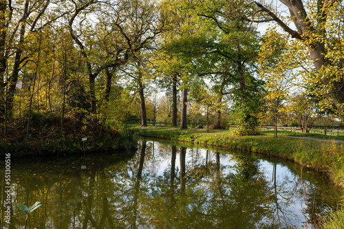 Trees reflecting in a natural water pond , Rotselaar, Belgium © Werner