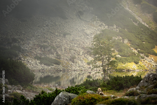 landscape with fog