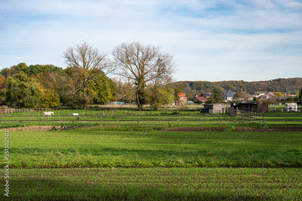 Obraz premium Rotselaar, Flemish Brabant Region, Belgium - View over the green fields, meadows and some village houses in the background