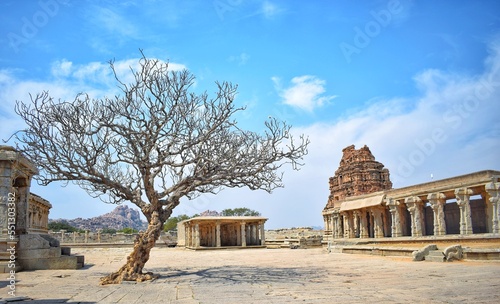 The world heritage site of Hampi in Indian state of Karnataka is in the picture with tree and clear blue sky photo