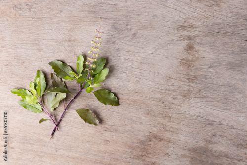 Red basil leaves and flowers laying on a wooden floor