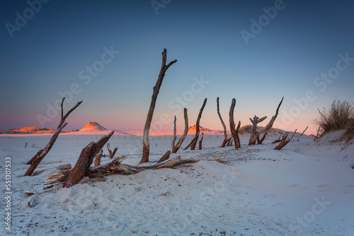 Beautiful scenery of sand dunes in the Slowinski National Park at sunset, Leba. Poland