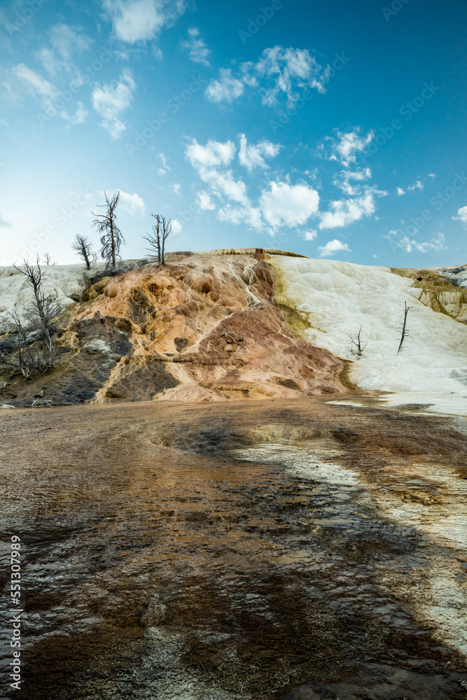 Bright Blue Sky Over Mammoth Hot Springs