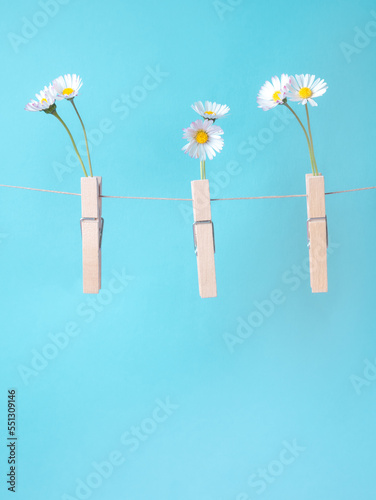 clothespins holding daisies