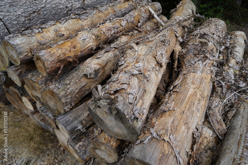 Forest dieback due to climate change, drought and storms and deforestation