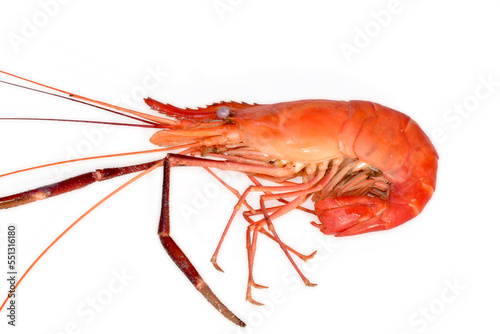 Cooked shrimps isolated on white background