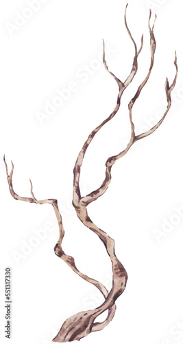 Chinoiserie tree branch transparent png