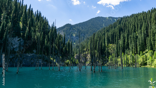 mountain lake. flooded forest. trees in the water