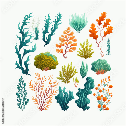 Seaweeds, coral reef underwater plants. Flat cartoon illustration isolated on white background