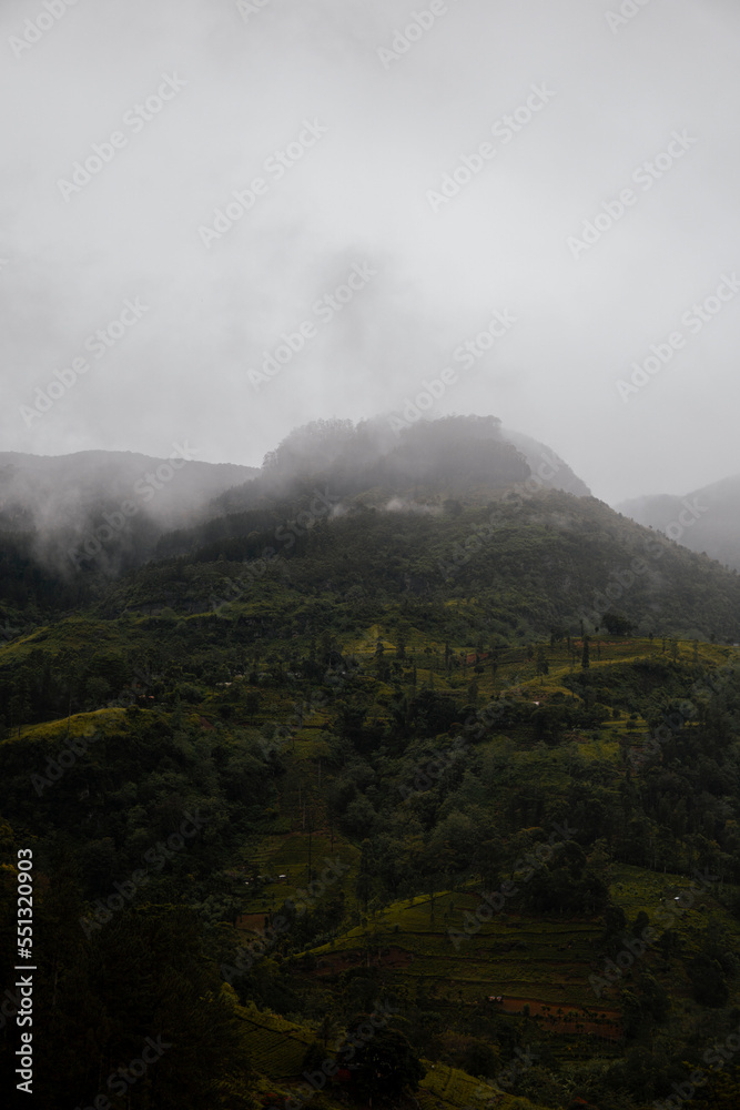 Paisaje verde con bruma en Sri Lanka