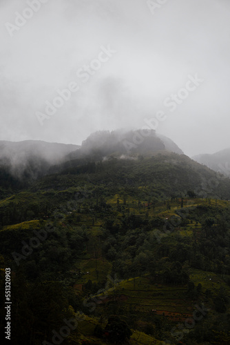 Paisaje verde con bruma en Sri Lanka