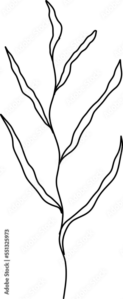 leaves hand drawn leaves hand drawn